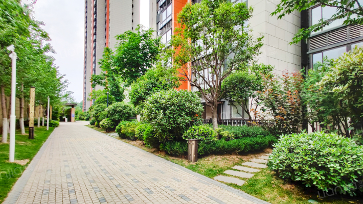 白桦林明天北区外景图