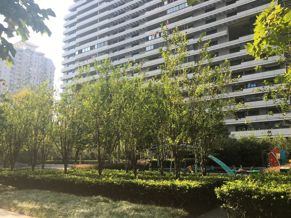 Jindu Matrix compound photo 19