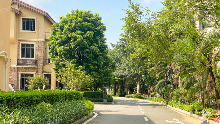 碧桂园天玺湾一期外景图