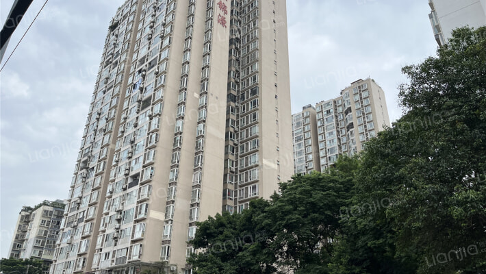 紫东锦源外景图