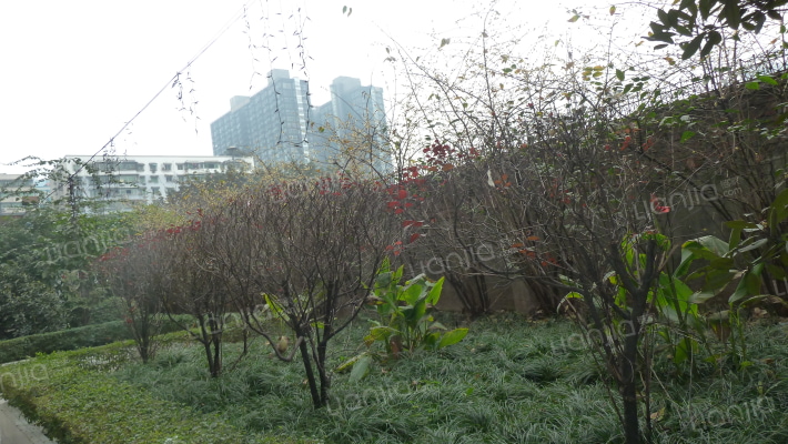 浩源小区外景图