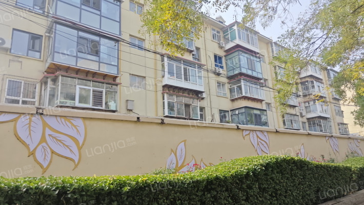 市二建宿舍外景图