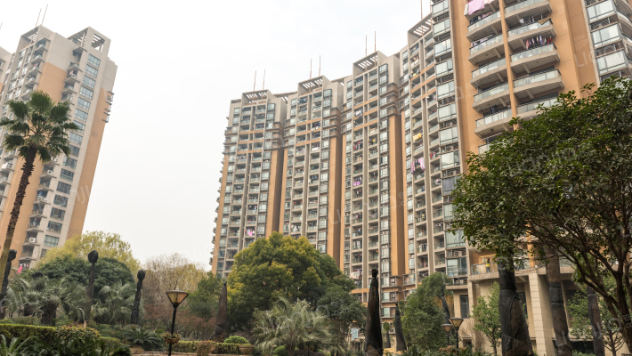 滨江金色家园外景图