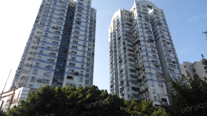 东兴大厦外景图