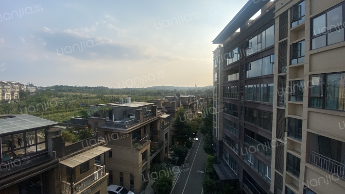 中洲中央公园蓝湖郡外景图