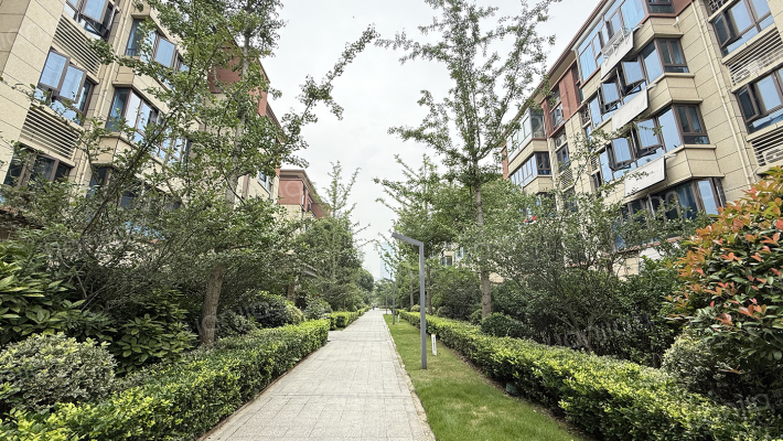 碧桂园泊云间外景图