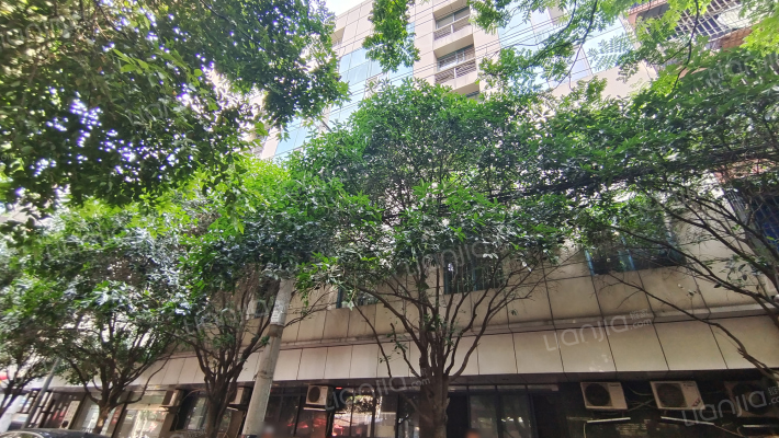 光明巷9号外景图