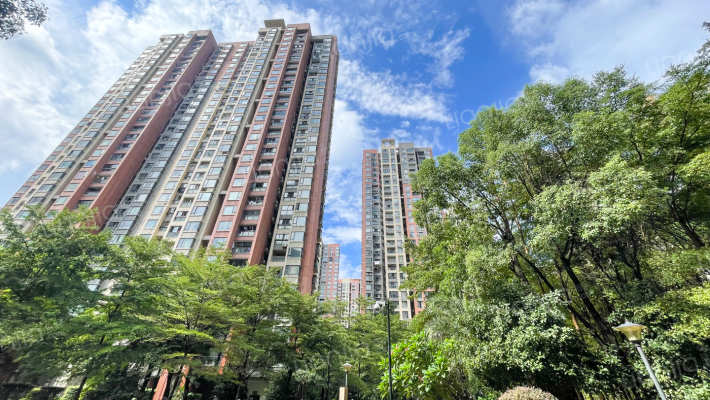 阳光城西海岸外景图