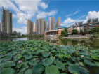 桂林奥林匹克花园实景图