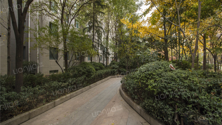 芦邢庄花苑外景图