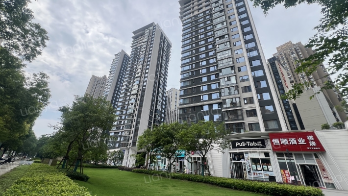 艺城紫金滨江外景图