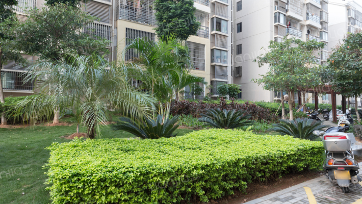 东方新城四区外景图