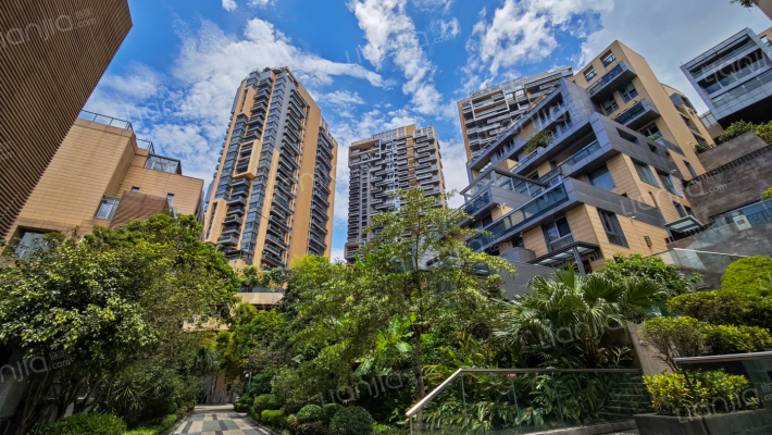 鲸山觐海外景图