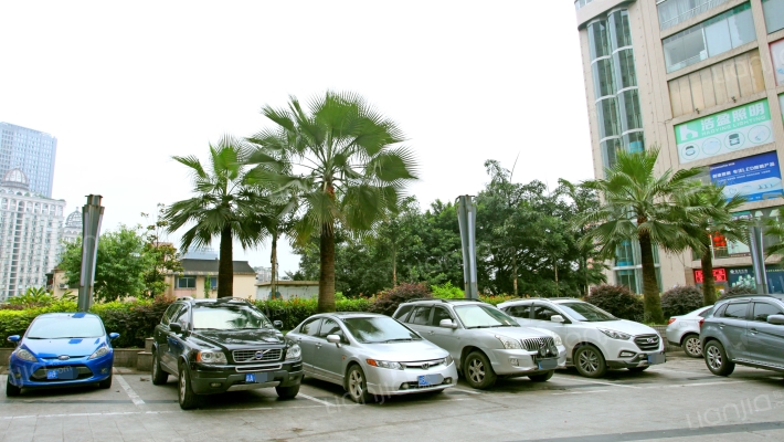 天维世纪阳光外景图