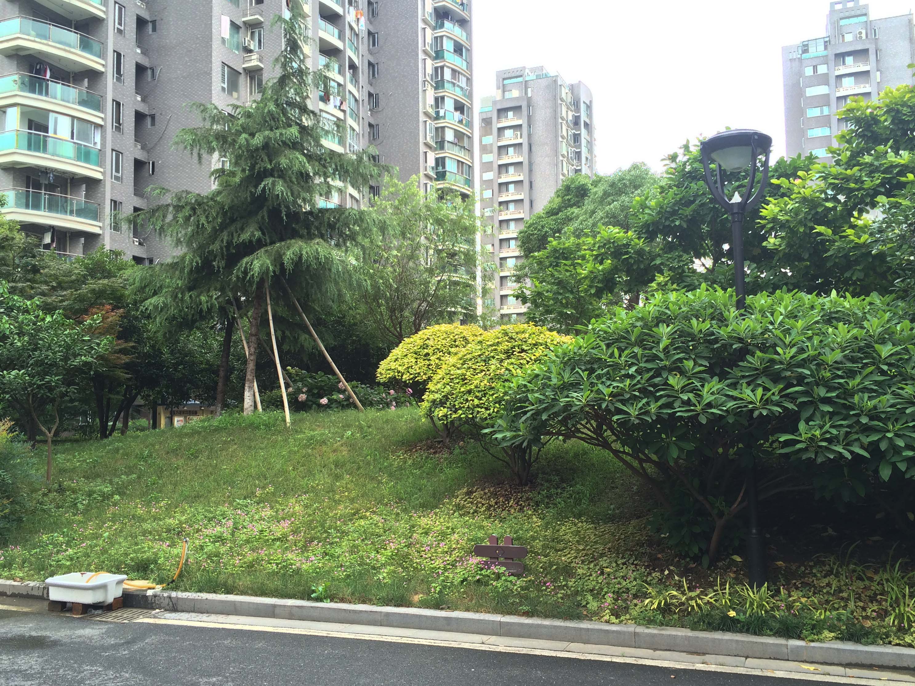 铂金时代小区实景 4