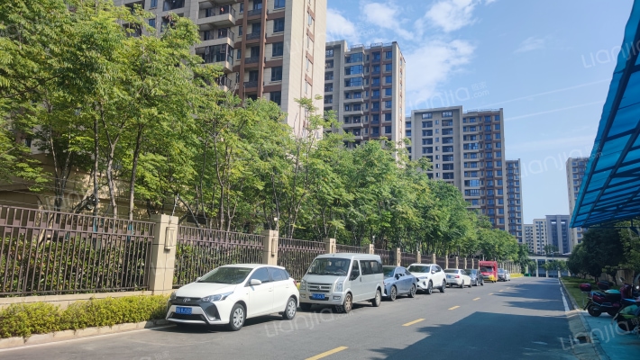 阳逻金茂逸墅外景图