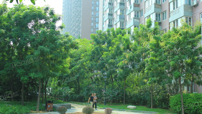 京城仁合外景图