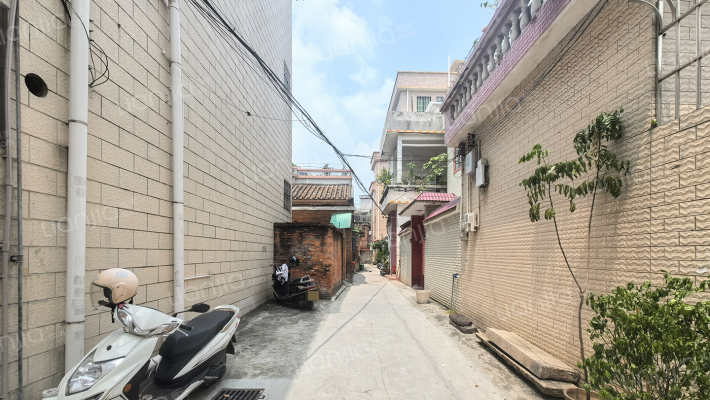 金花街四巷外景图