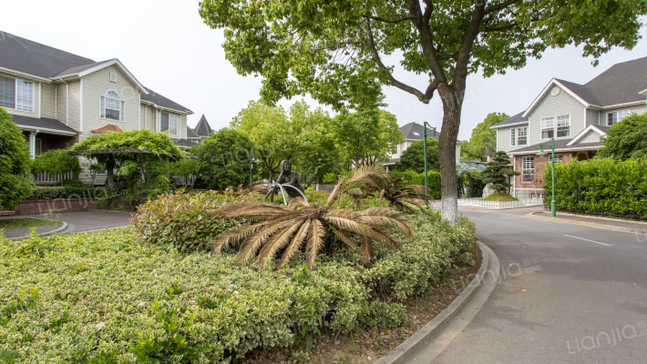 佳湖绿岛外景图