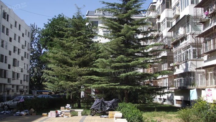 龙欣苑小区外景图