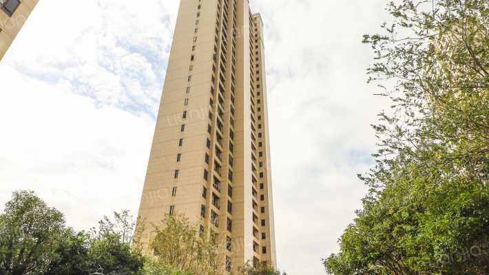 新力雅园外景图