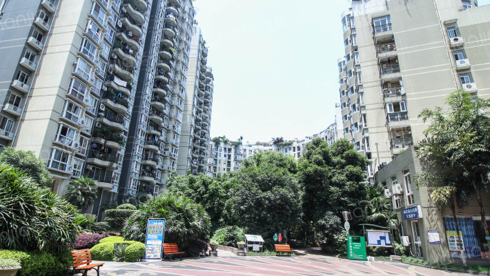 学林雅园外景图