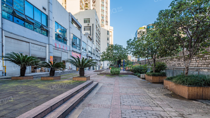 蜂巢小区外景图