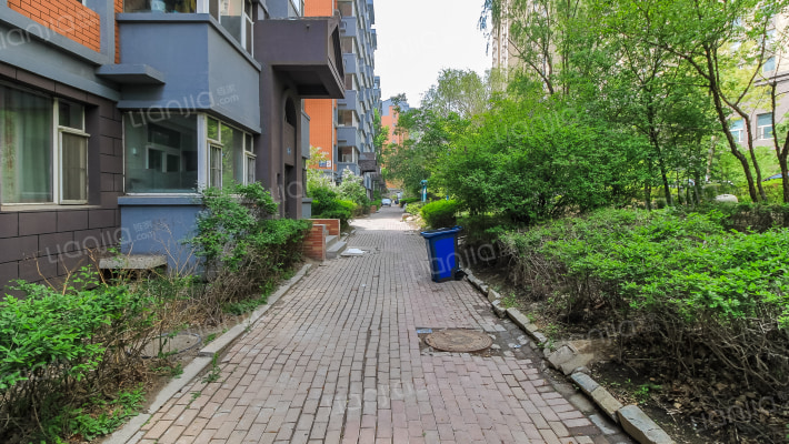 长春明珠外景图