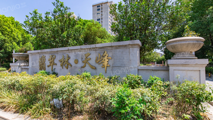 翡翠林天峰外景图