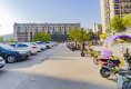 金家新都汇户型图实景图