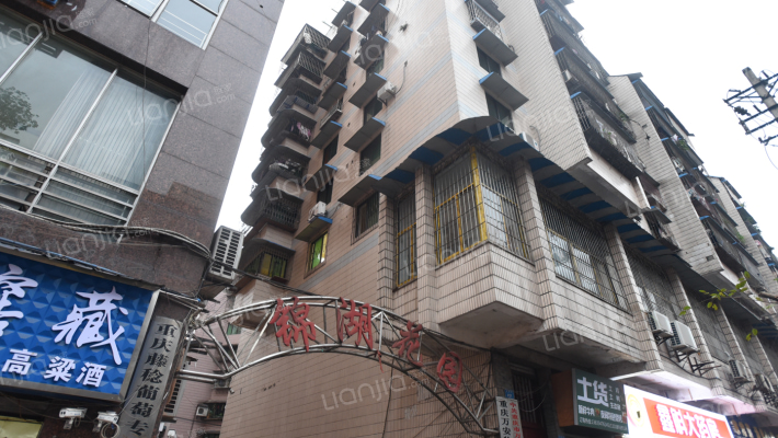 翠湖雅居外景图