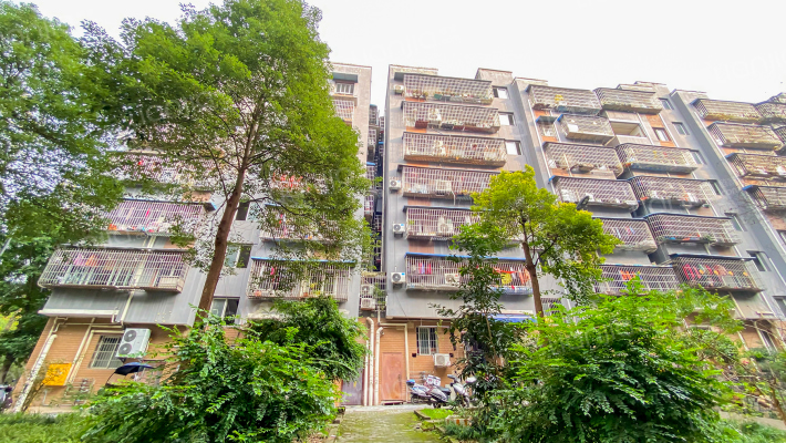 璧青北路161号外景图