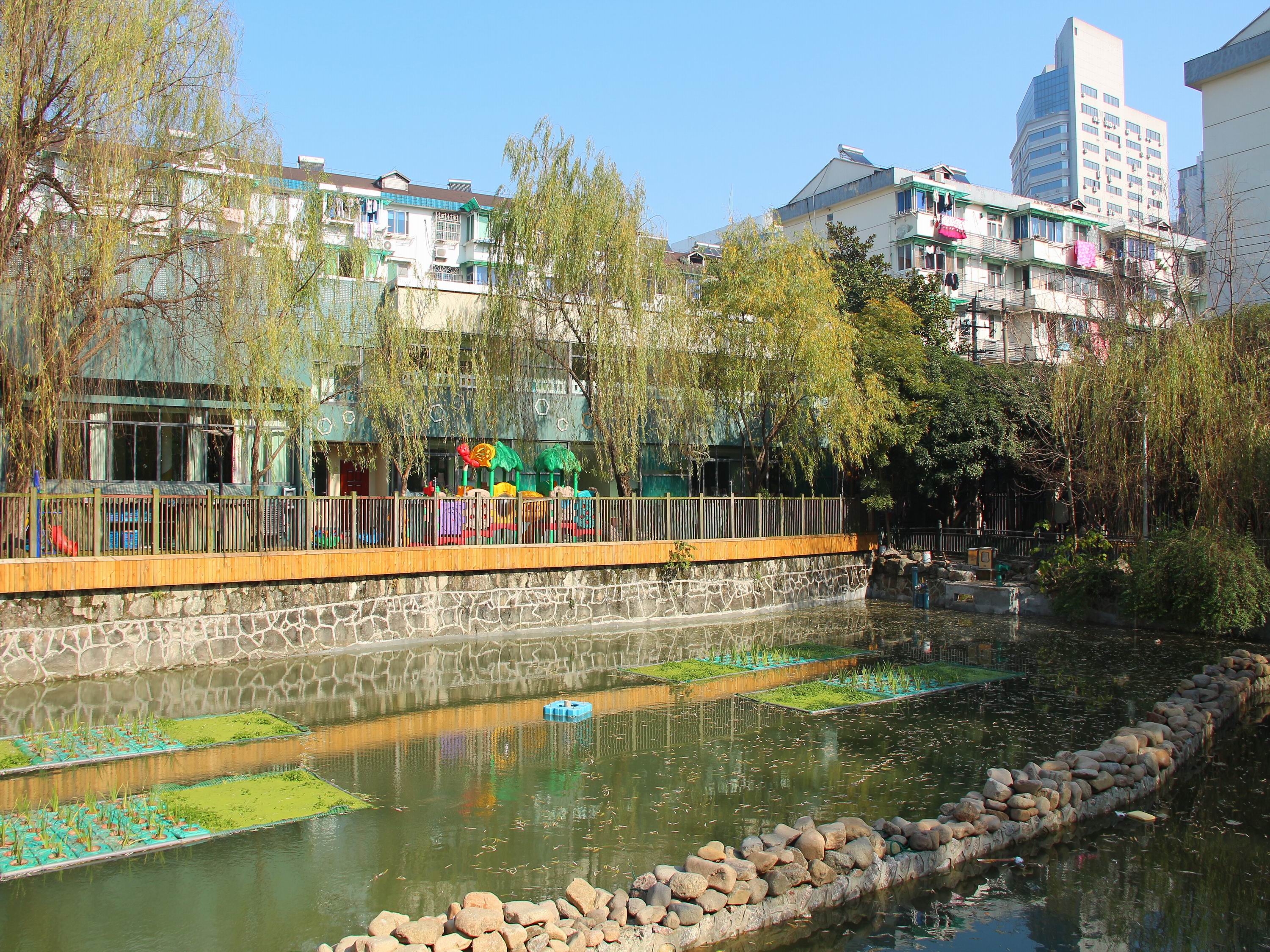古荡新村东区小区实景 23