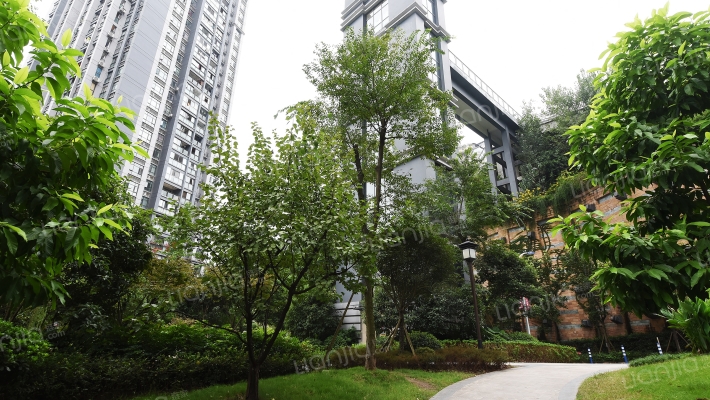 广厦城蜜宫外景图