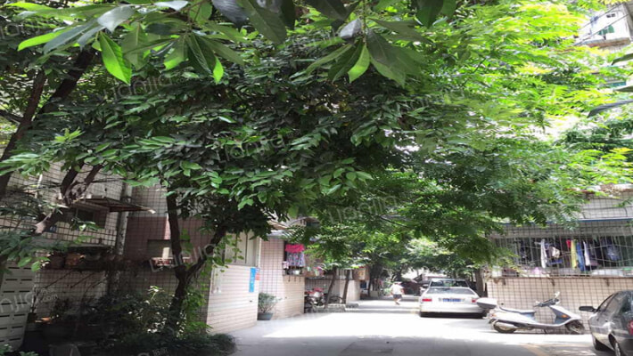 长顺苑北苑外景图