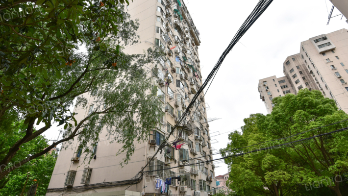 园南新村外景图