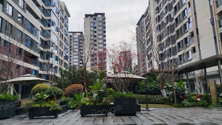 国贸臻原外景图