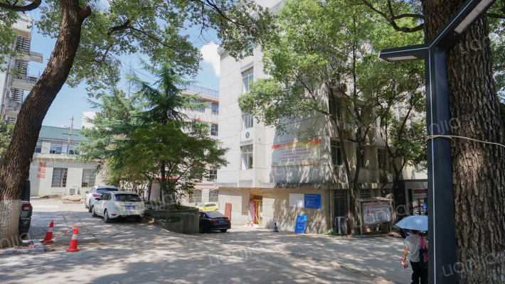 小林子冲122号外景图