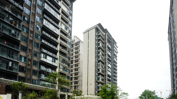 中建中法之星外景图