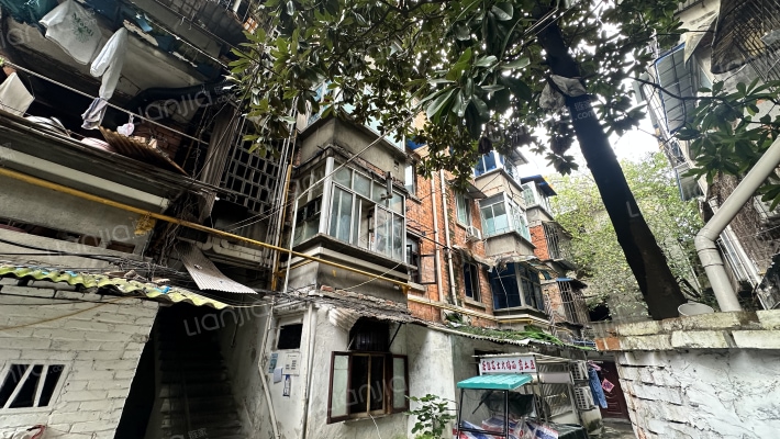 中学路33号外景图