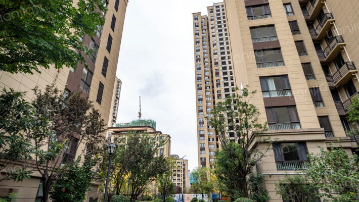 阳光城丽兹公馆外景图