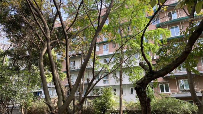 四川武警森林总队外景图