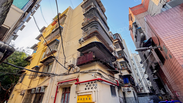 文星路288号外景图