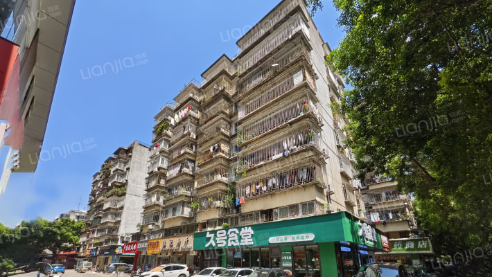 树兜花园新村外景图