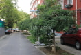 和平里四区户型图实景图