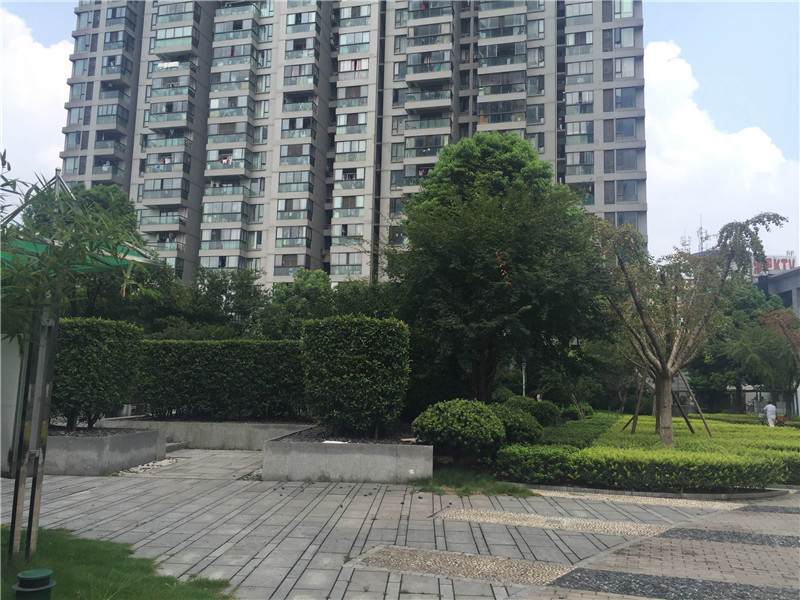 银爵世纪小区实景 6
