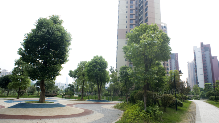 珠江花城四期外景图