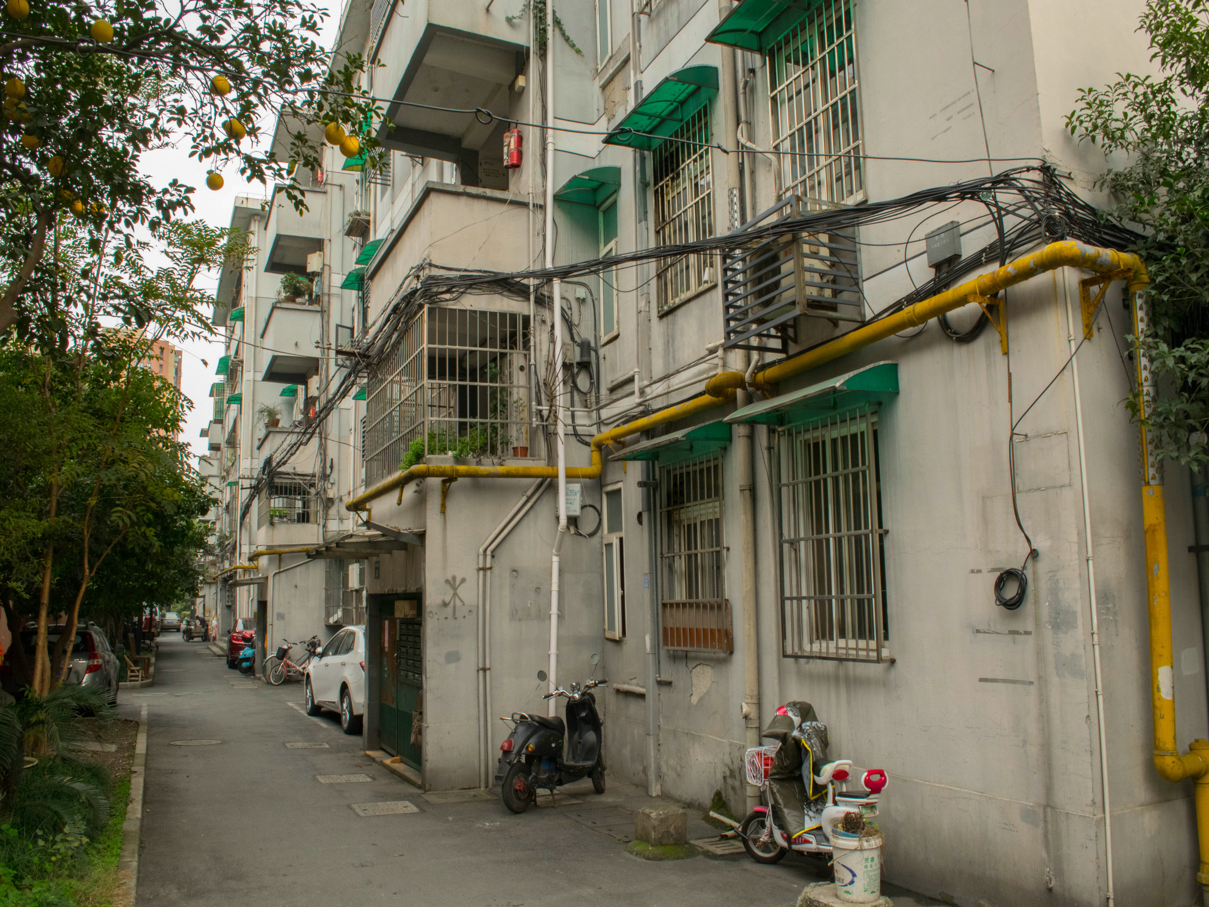 Moganxincun  compound photo 22