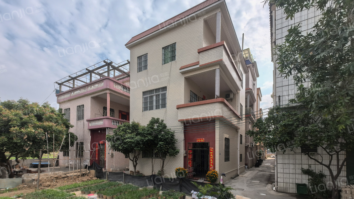 上村集体路外景图