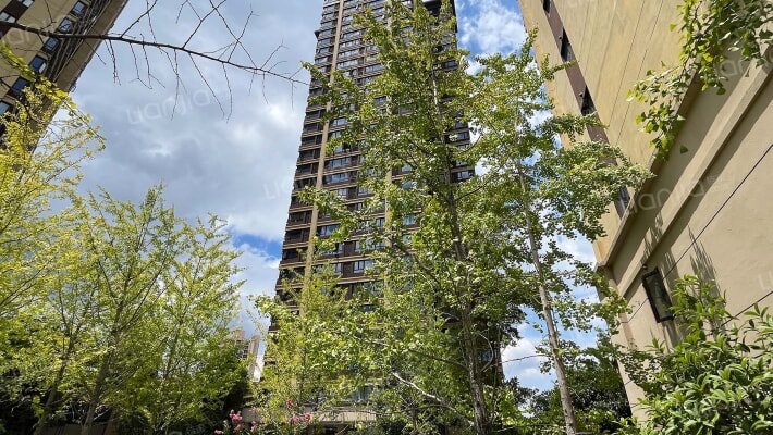 弘阳昕悦府观澜樾外景图